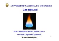 Gas Natural Aplicaciones y Procesamiento