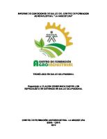 Informe de Condiciones de Salud Cefa 2012