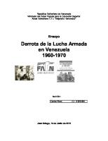 Lucha Armada en Venezuela
